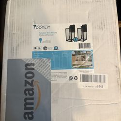 Two Outdoor Wall Lights 