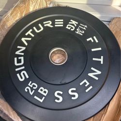 25lb Bumper Plates