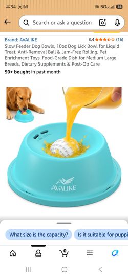 Slow feeding dog bowl