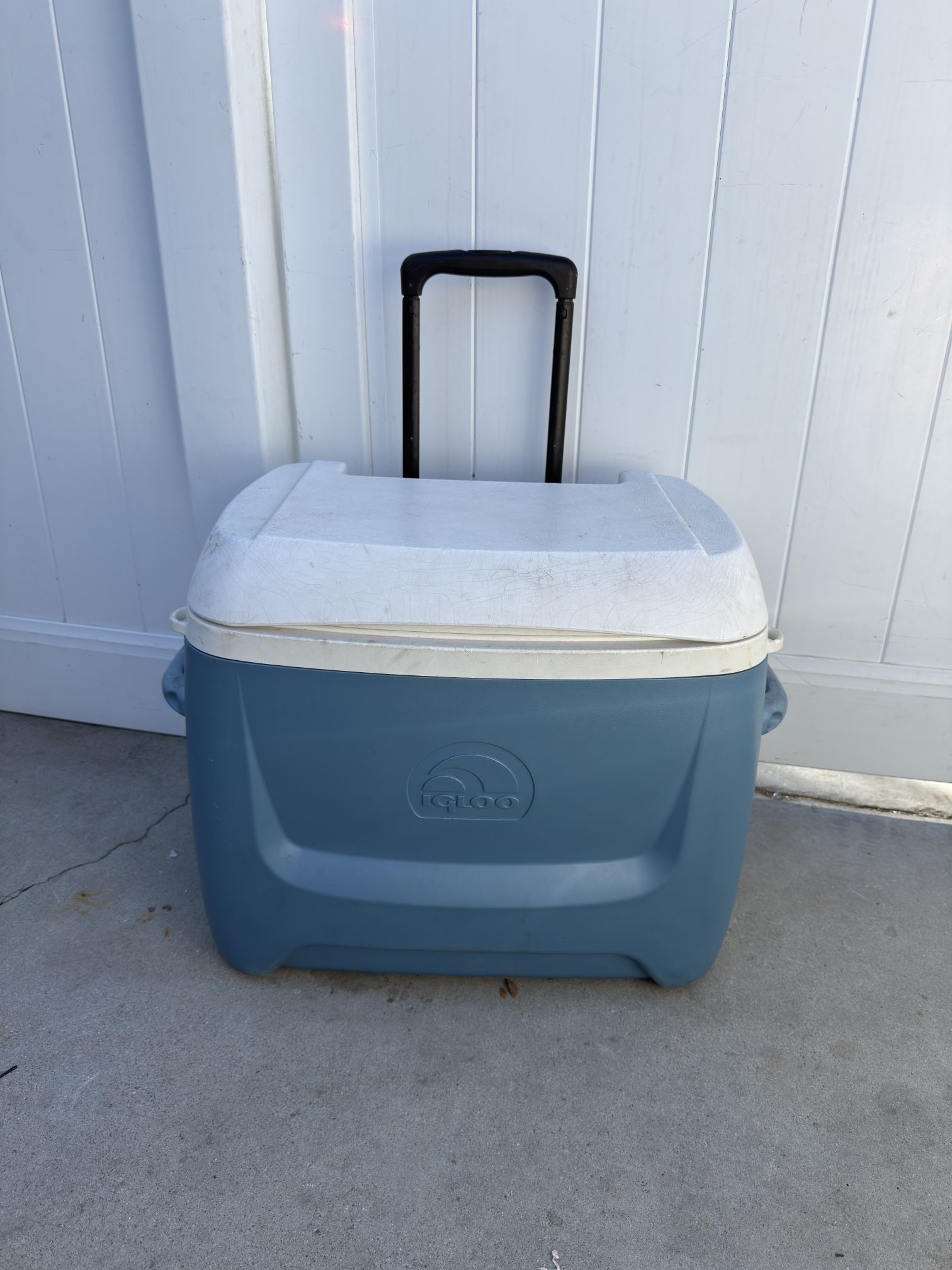Coleman Cooler