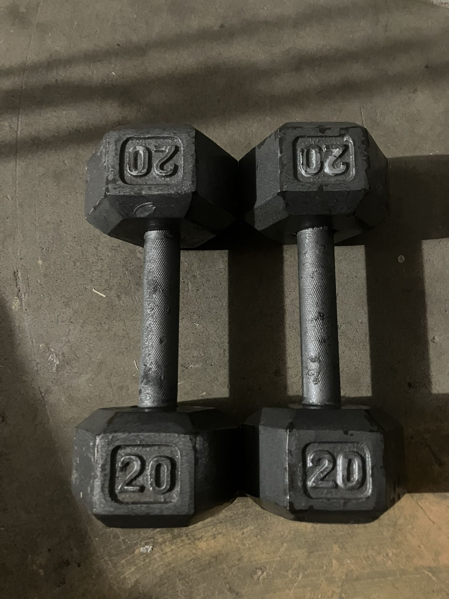 20lb Dumbbells Pair