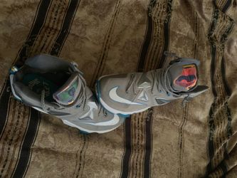 Shoe Lebron James