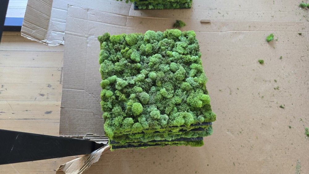 Preserved Moss Wall Tiles