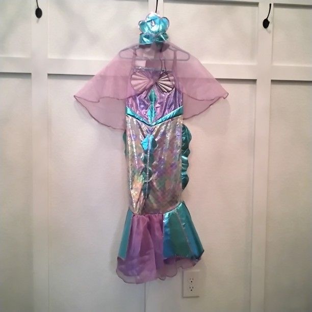 Used Mermaid Costume