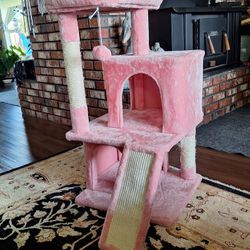 Cat Tree, Condo
