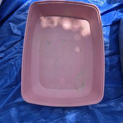 Cat Litter Box 