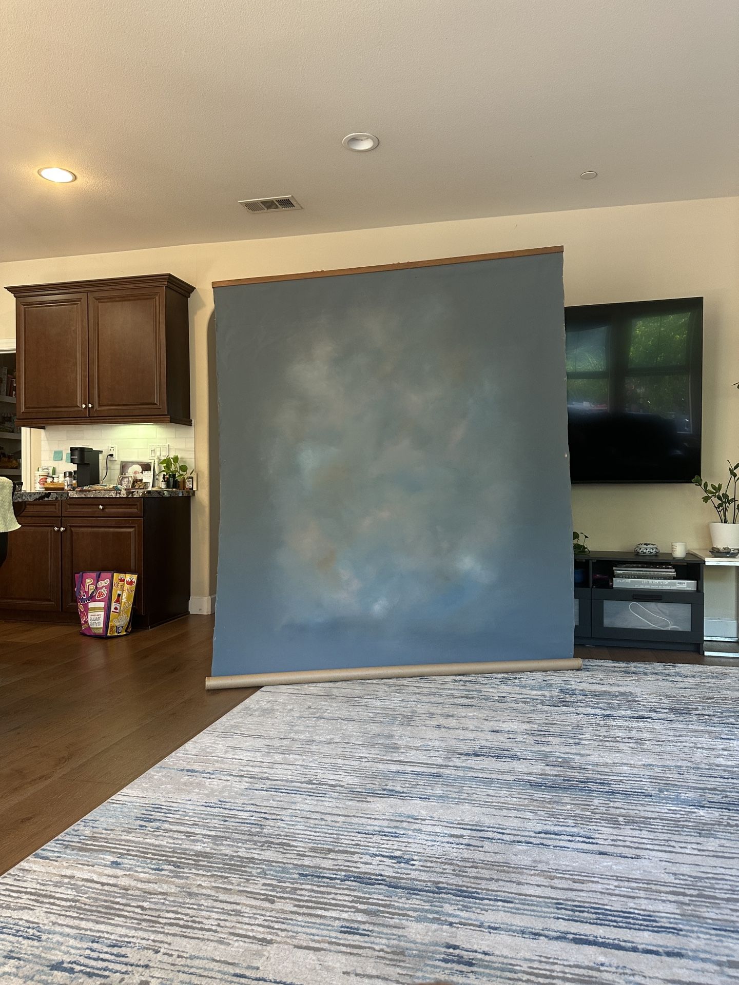 6ft X 7ft Canvas material - Background Rollup