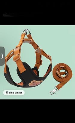 Dog leash and harness NEW