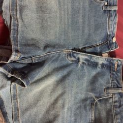 Size 14 Woman Shorts 