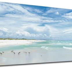 NINEASO Sea Beach Canvas Wall Art Aqua Ocean Pictures Nature Wall Decor Sea Birds Coastal Landscape Prints