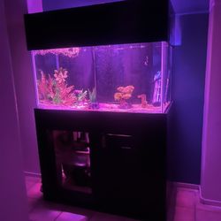 120 Gallon Fish Tank With 32 Gallon Sump