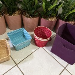🩷4 pieces of free baskets🩷FREE PICK UP 