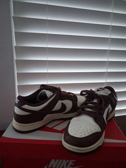 Nike low dunk shoes
