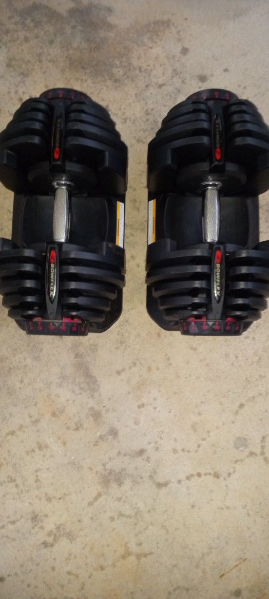Bowflex 10-90 Pound Weights