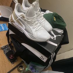Pumas 9.5