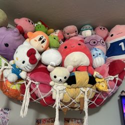 plush lot send offer 