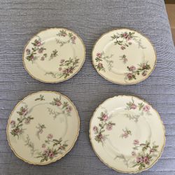 Havilands Plates