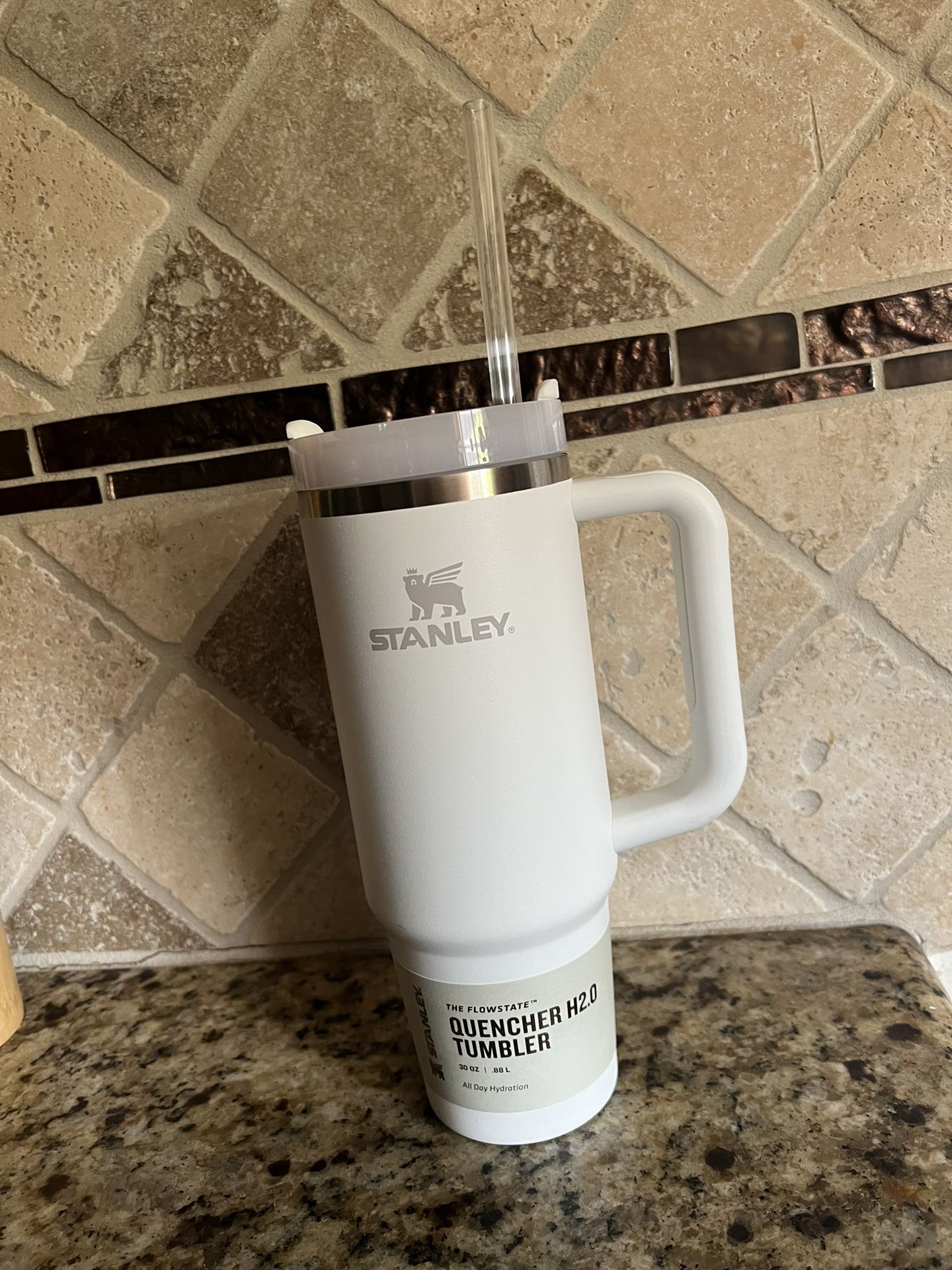 STANLEY CUP 30oz All Day Hydration!!