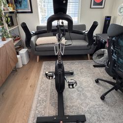 Exercise Bike