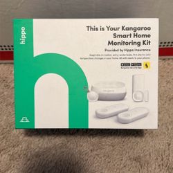 Kangaroo Security System 