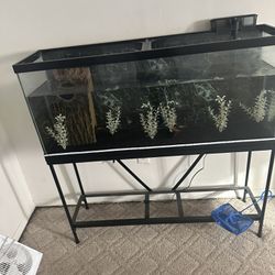 Fish Tank With Stand