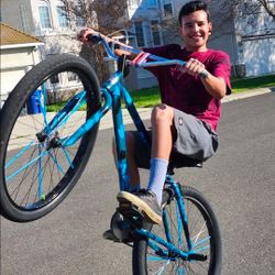 SE Bike 29 Inch Big Flyer