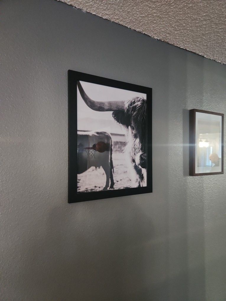 Framed Picture Of Highland Cows