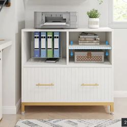Storage Cabinet, Lateral File