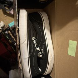 Vans Skate Skate Shoes