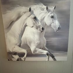 24” x 24” Canvas Picture (Horses)