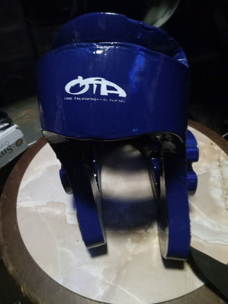 Taekwondo Headgear