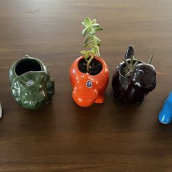 17 Dinosaur Ceramic Pots for Small Plants
