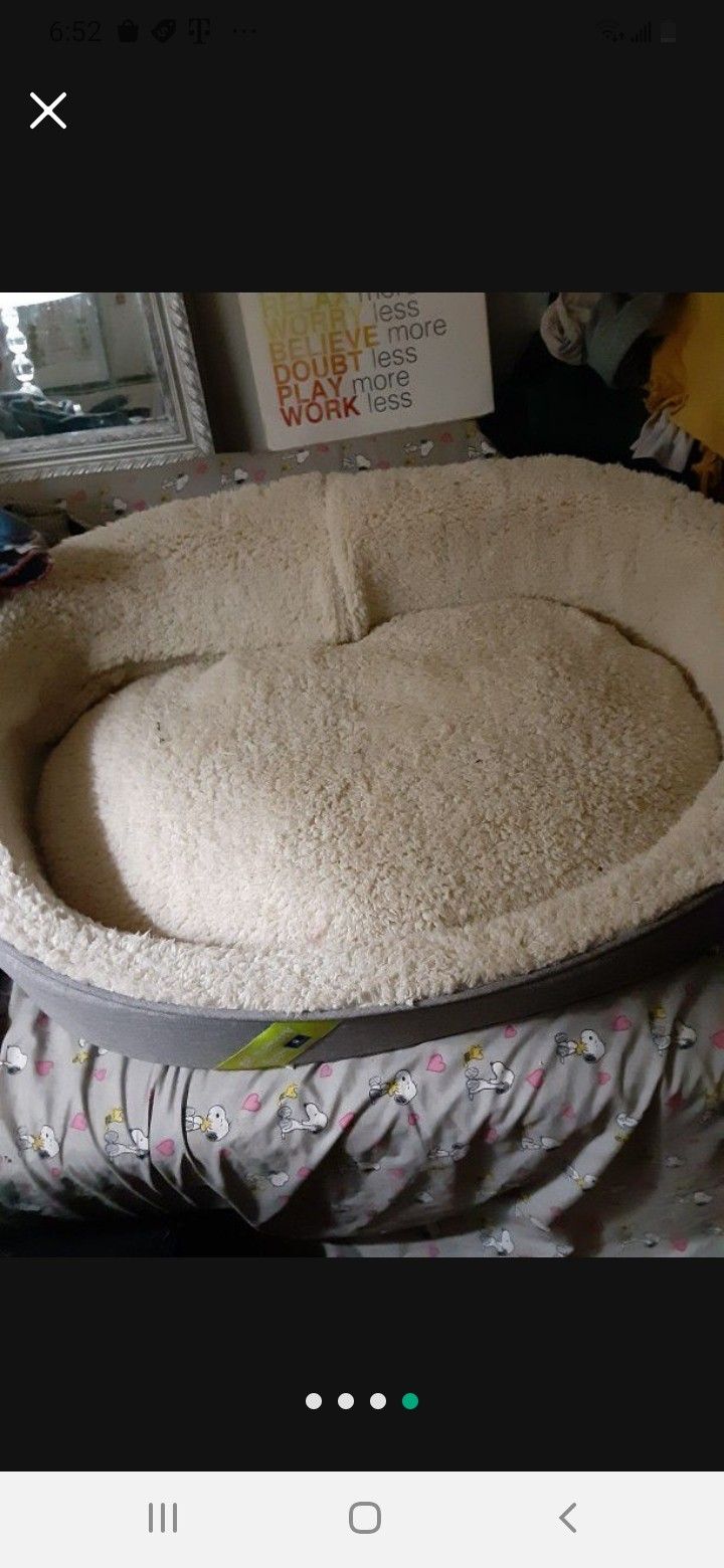 Medium- Large Dog Bed $30.00 (Serious Buyers) First Come First Served Obo Cash Only 