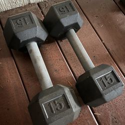 15 Lb Weights 