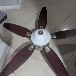 Hampton bay celing fan