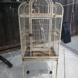 Bird Cage 