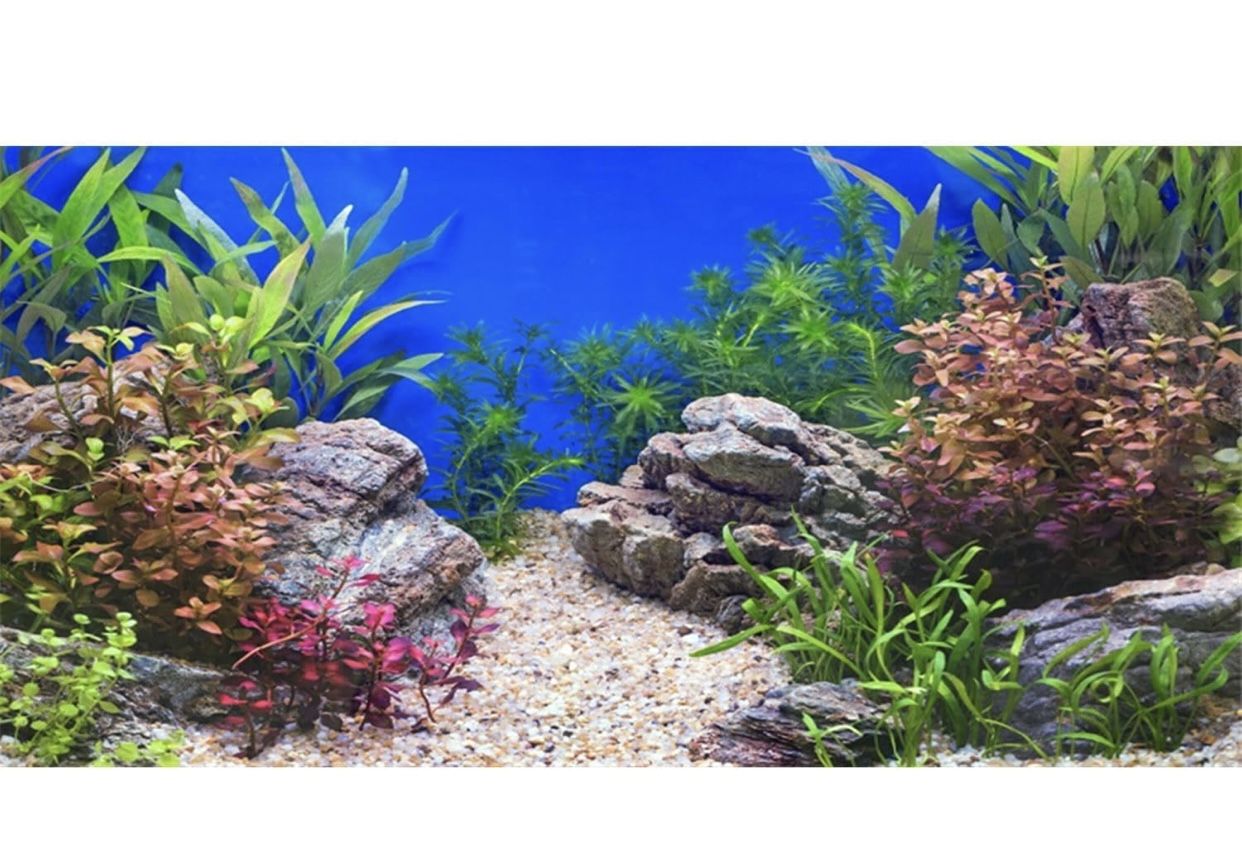 Aquarium Landscape