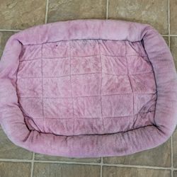 Pet Bed