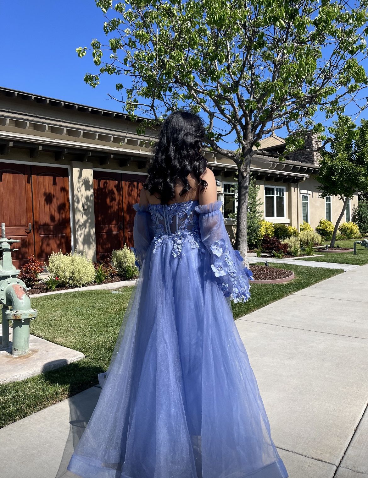 Prom Dress Quince Dress Party Dress
