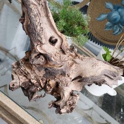  Drift Wood Decor