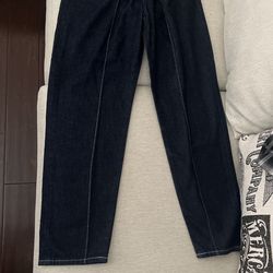 Pleated Column Levi Pants