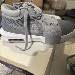 LeBron Basketball Shoes 