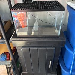 Fish Tank 