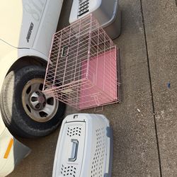 Case for mascot (dog and cat )