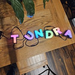 Toyota Tundra grille led logos