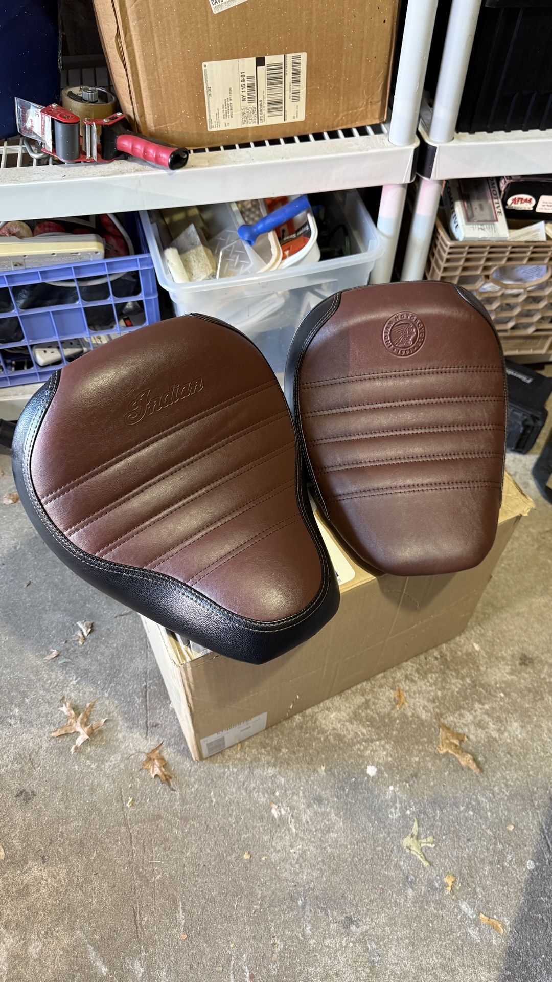 2018-2024 Indian Scout Bobber