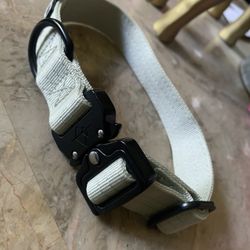 Brand New S/m Dog Collar Light Greenish Color