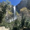  california 