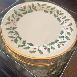 6 Piece Dinner Plate 