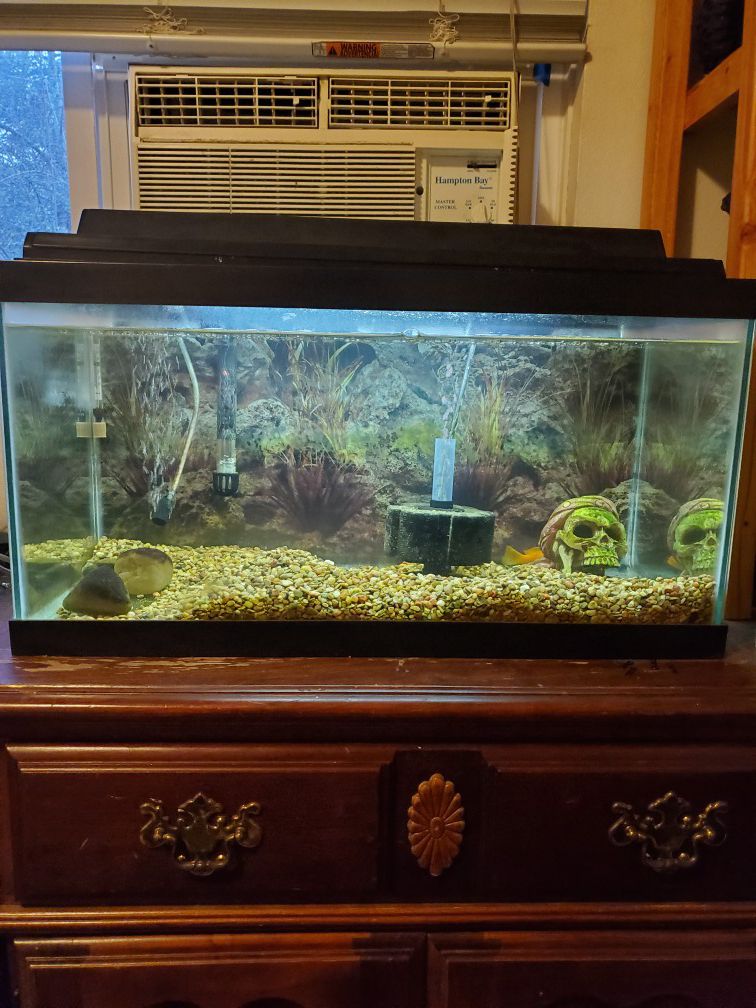 15 gal fish tank with everything you need